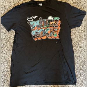 Lion King Pride Rock Shirt Size Large